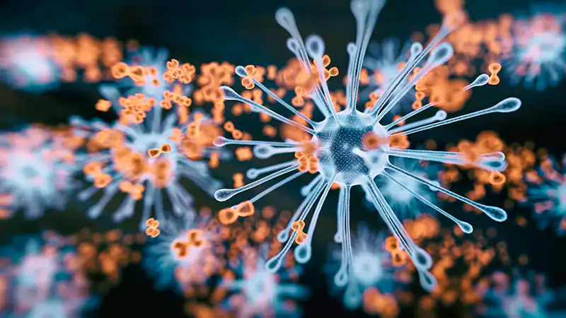 Confirman vínculo clave entre el virus de Epstein-Barr y la esclerosis múltiple