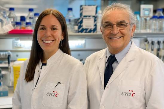 Descubren una estrategia para frenar arritmias mortales atacando su origen molecular